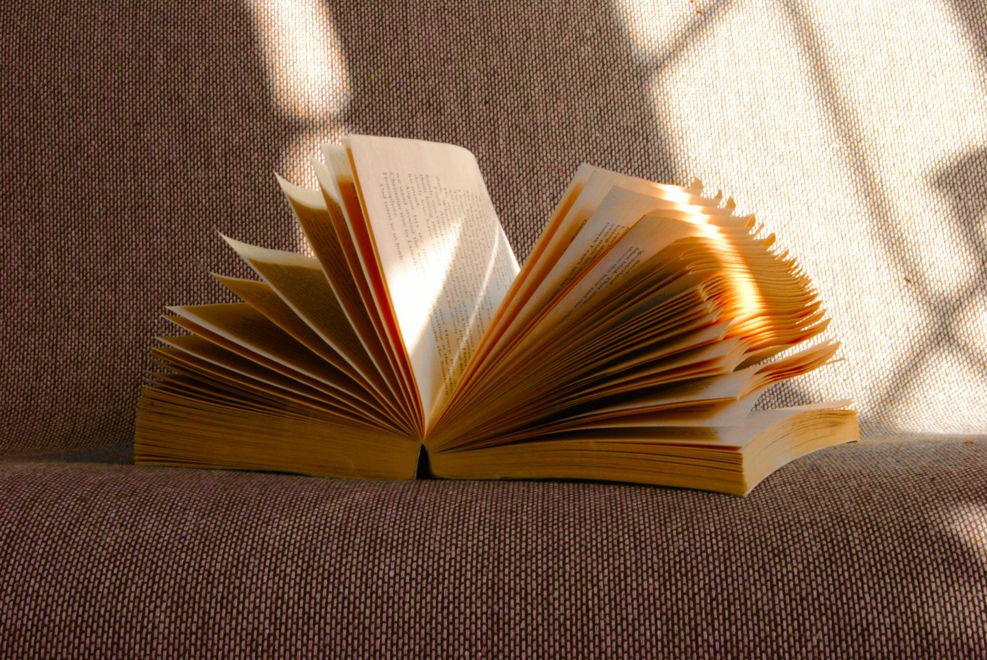 An open book with fanned pages resting on fabric.